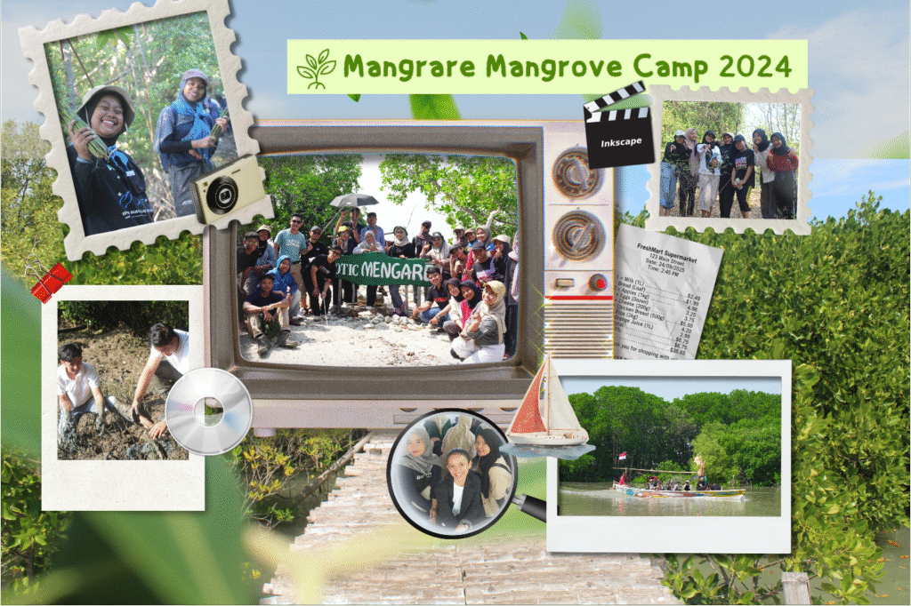 Mangare Mangrove Camp